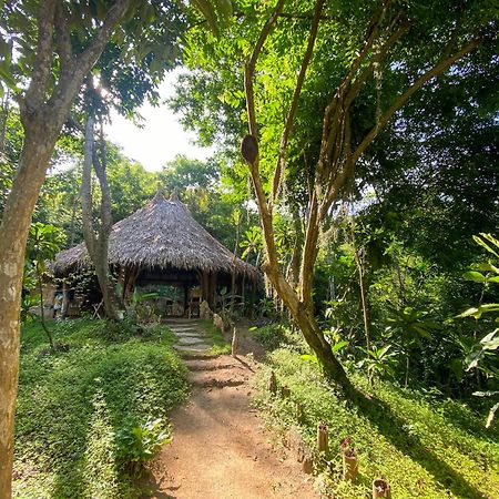 Hostal Paraiso Tayrona Kogui Лос-Наранхос Екстер'єр фото