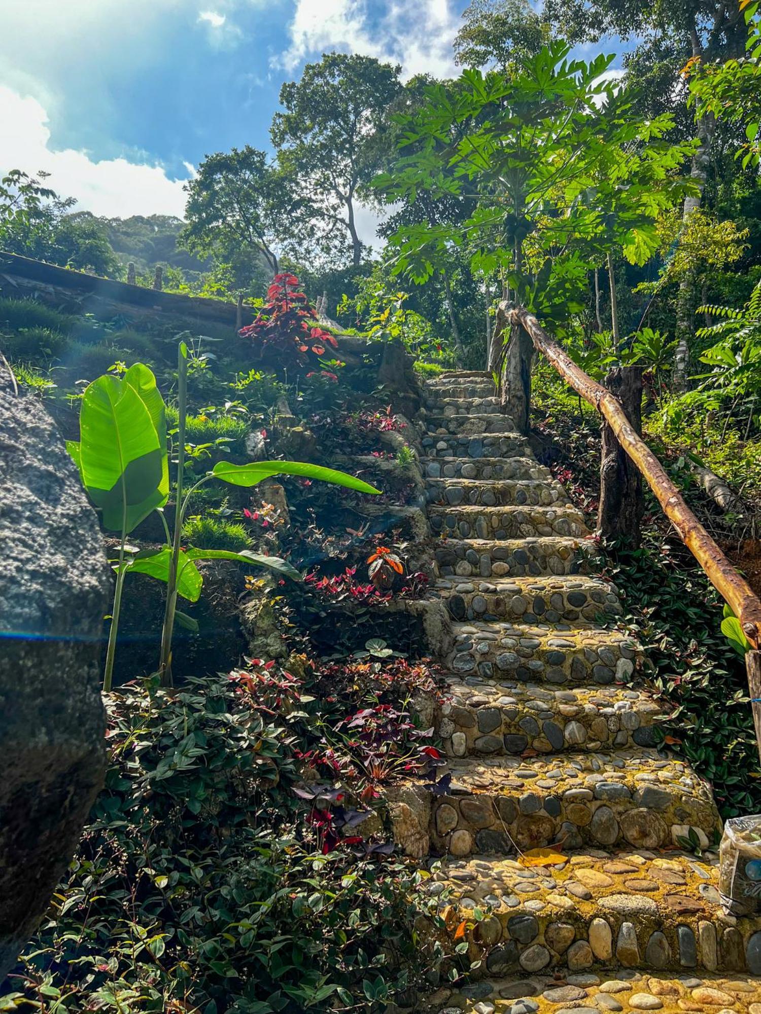 Hostal Paraiso Tayrona Kogui Лос-Наранхос Екстер'єр фото